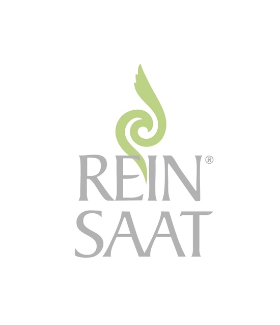 Reinsaat logo2